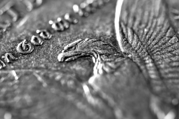 1902 Morgan Dollar Reverse